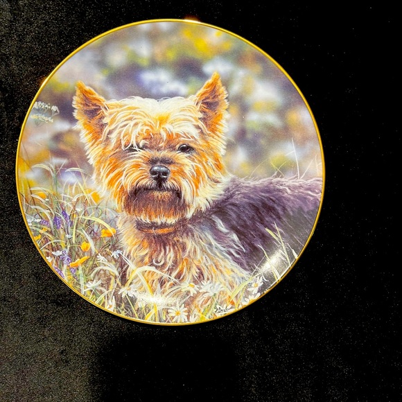 Danbury Mint “Little Charmer” Yorkshire Terrier plate - Picture 2 of 3